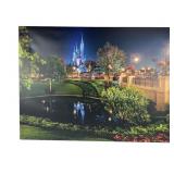 Disney Castle Nighttime Photography Print on Canva