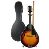 Vintage Mandolin Guitar with Case, Stand & Picks