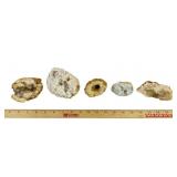 Geode Rock Crystal Specimens