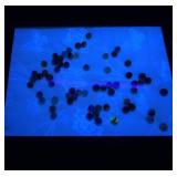 Old Marble Collection