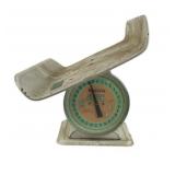 Hanson Nursery Scale With Animal Graphics