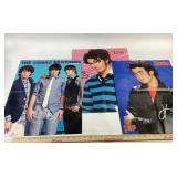 Jonas Brothers Posters 16"x20"