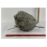 Grey Paper Wasp Nest with Branches