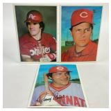 3 - 1981 5x7 Topps Baseball Cards: Pete Rose,