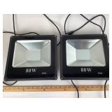 80W IP66 Functional Floodlights