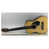 Acoustic Guitar