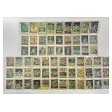 Sportflics Lenticular Baseball Cards: Bill Buckner