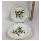 Superior Hall Pinecone Dinner Plates