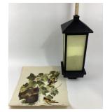 Bronze Metal Outdoor Lantern, Audubon Bird Illustr