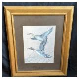 Framed Mallard / Duck print