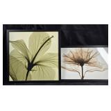Framed Botanical Wall Art With Floral Prints
