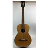 Ibanez Salvador Acoustic Guitar