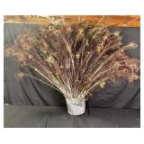 Peacock Feather Collection: Long Feathers w/