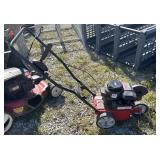 Briggs Stratton 450 Series Lawn Edger