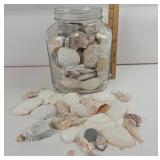 Seashells & Glass Jar