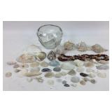Seashell Collection With Glass Bowl