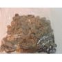 December 6 2025 Coin Auction