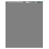 Page of 20 Morgan dollars