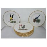 Spode Bone China set of 12 American Song Bird