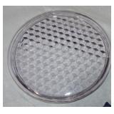 American Fostoria light amethyst 11 3/4" round