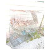 Lot of 3 live traps
