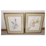 Pair of bird pictures