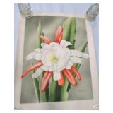 Lot of 2 floral still lifes, 20'x26'