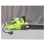 Greenworks Electric Chain Saw 19" Blade