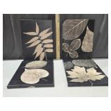 Leaf Pictures