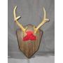Merritt Online Auction Spring Sale