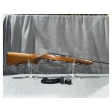 Ruger Model 10/22 .22 Long Rifle