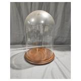 Plexiglass Cloche Dome