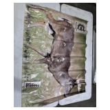 Life Size Animal Targets 65x48  Whitetail Buck