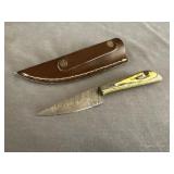 Damascus Fixed Blade Knife & Leather Sheath