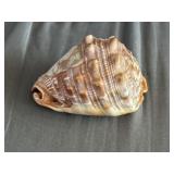 1940s Italian Conch Seashell Hand-Carved Cameo