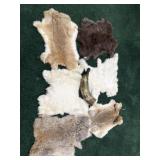 (6) Fur Pelts & Powder/War Horn