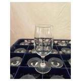 20 pc Stemware in Blue Dishwasher Rack