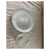(12) Fleur Clear Glass Plates,  (2) Glass Bowls