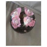 Joe Rice Pink Daisy Trumpet Flowers, Maroon Base,