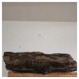Petrified wood & coal 11 x 2.75 in.  alongside
