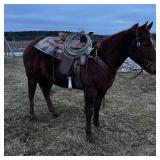 Lot#458 6yro QH gelding