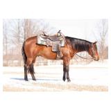 4 yr old AQHA Gelding Will be selling at the Spring 2023 Horse Auction May 6  More info coming soon