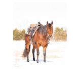 4 yr old AQHA Gelding Will be selling at the Spring 2023 Horse Auction May 6  More info coming soon