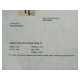 Lot 463 genetic test