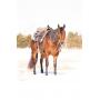 4 yr old AQHA Gelding Will be selling at the Spring 2023 Horse Auction May 6  More info coming soon