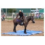 highest Seller!!! Sold for $18,500,