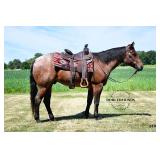 Lot# 452 sold for 14,000 4 Yr old AQHA Gelding Sire: Pepto Solano Dam: Dudes Blue Image