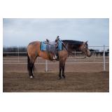 Lot# 420 13 yr old AQHA mare Sire: Einsteins Revolution Dam: Smartest Hollywood