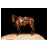 Lot# 483 Lot# 4834 yr old Friesian-QH X Mare Sire: Oak Hill Jazz Jasper