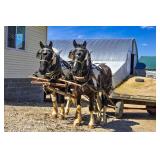 Lot#479-480